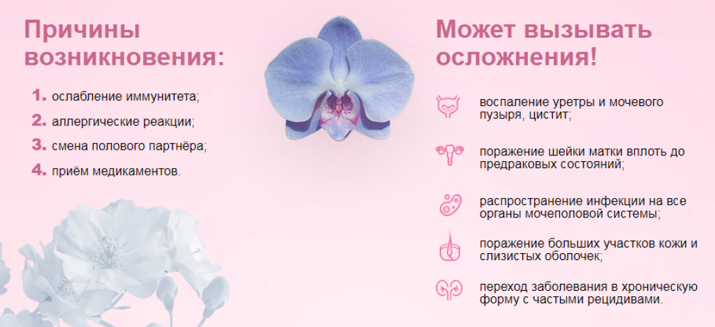 Кандидоз мочеполовых органов (молочница) у мужчин - симптомы болезни, профилактика и лечение кандидоза мочеполовых органов (молочницы) у мужчин, причины заболевания и его диагностика на eurolab