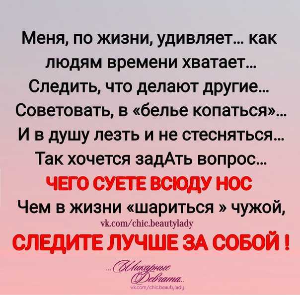 Как трактовать сон о лягушках — 42 популярных значения