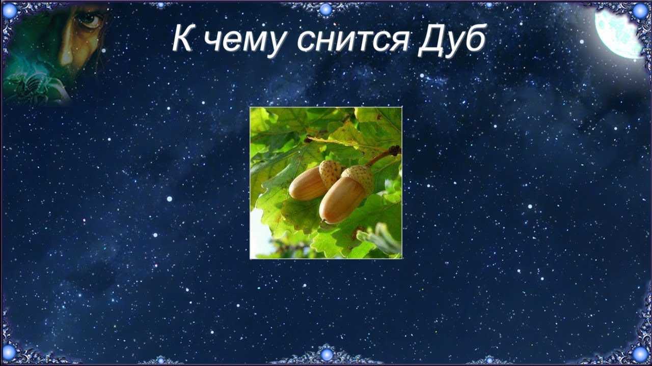 Сонник крыжовник с крупными ягодами на кустах собирать видеть во сне к чему снится