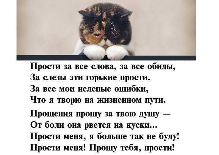 Как извиниться перед подругой: советы парням и девушкам. извинения перед подругой в стихах