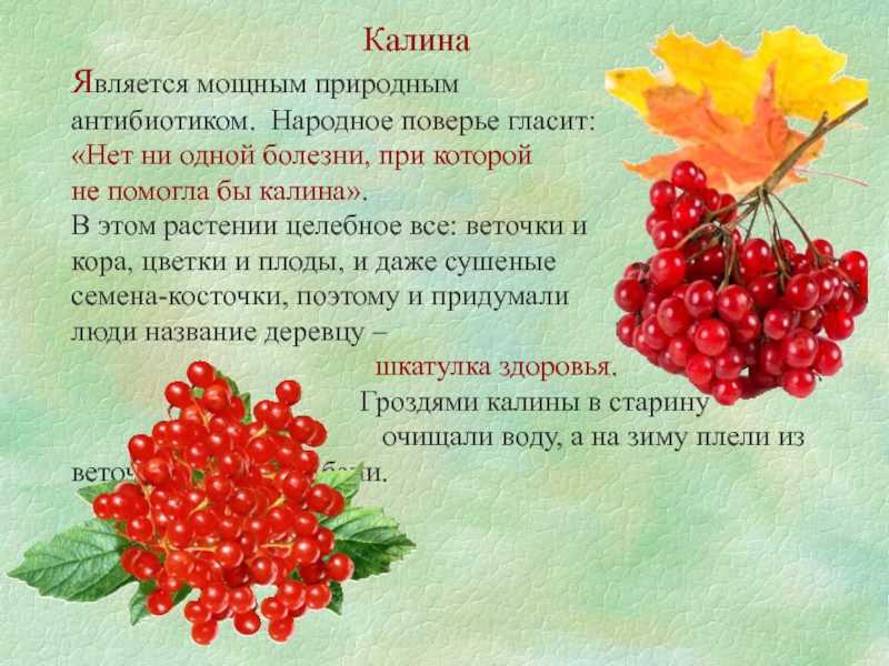 Как быстро справиться с простудой: 6 советов от терапевта