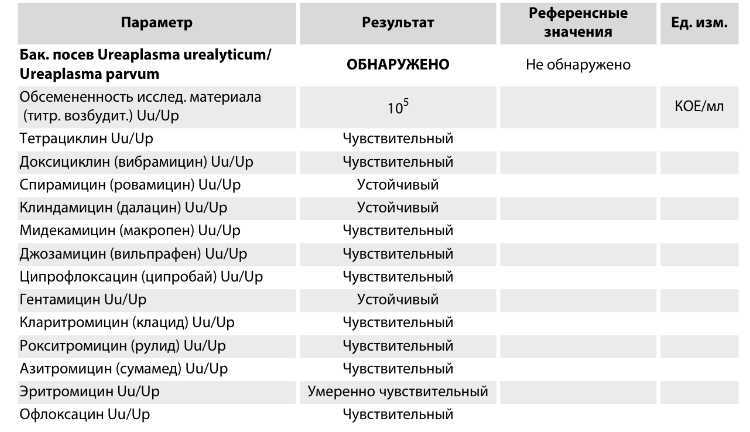 Уреаплазма: мифы и реальность