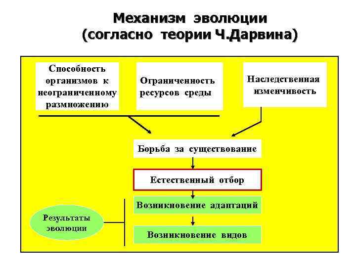 Людмила петрановская о «теории привязанности»