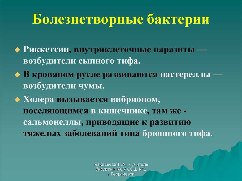 Ячмень. диагностика и лечение