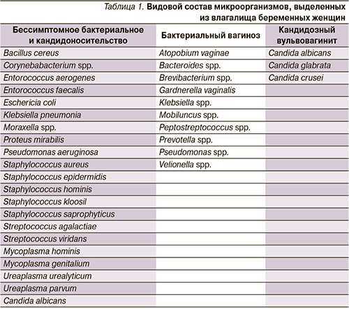 Микоплазмоз ? симптомы, признаки, диагностика и лечение