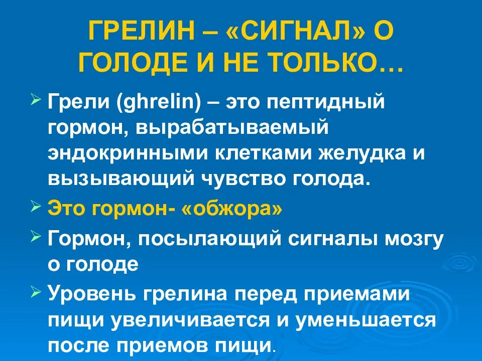 О чем говорит постоянное чувство голода