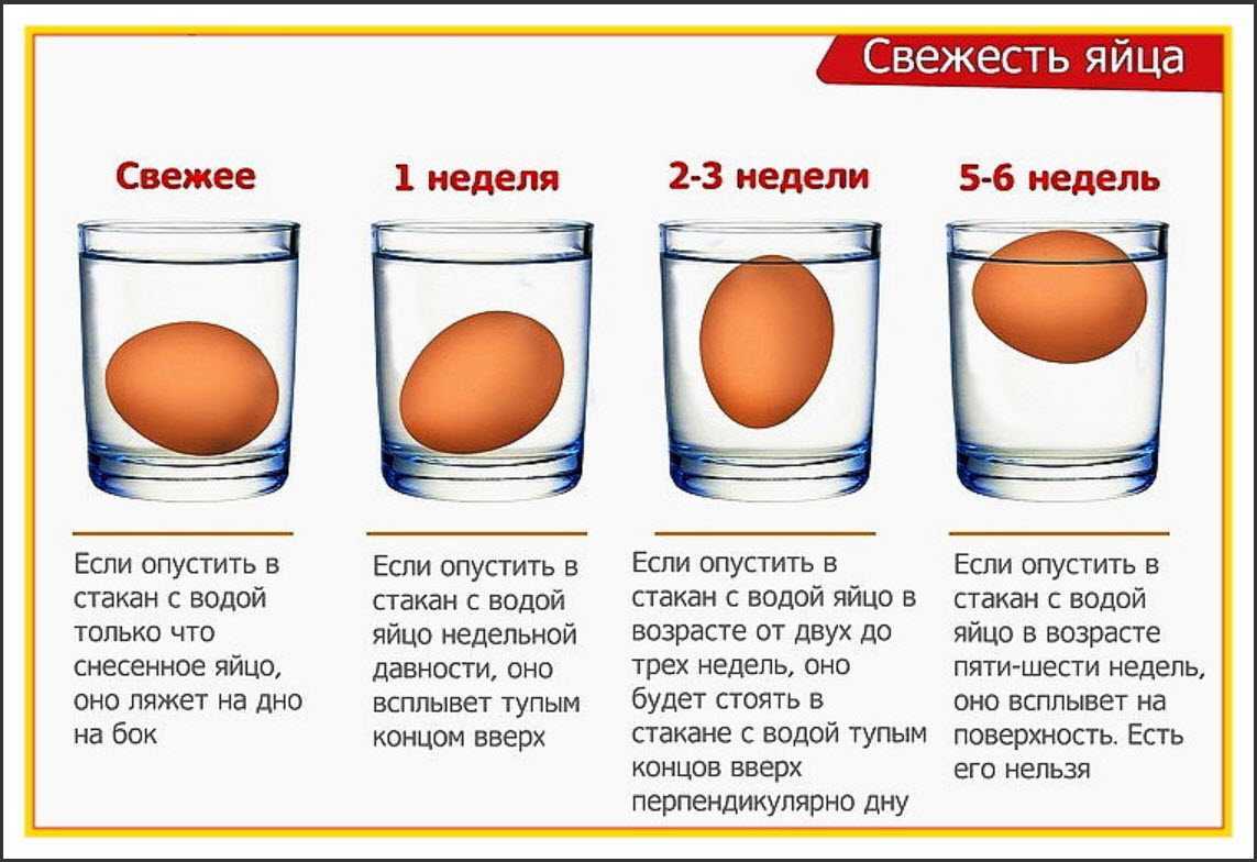 О правилах обработки яиц