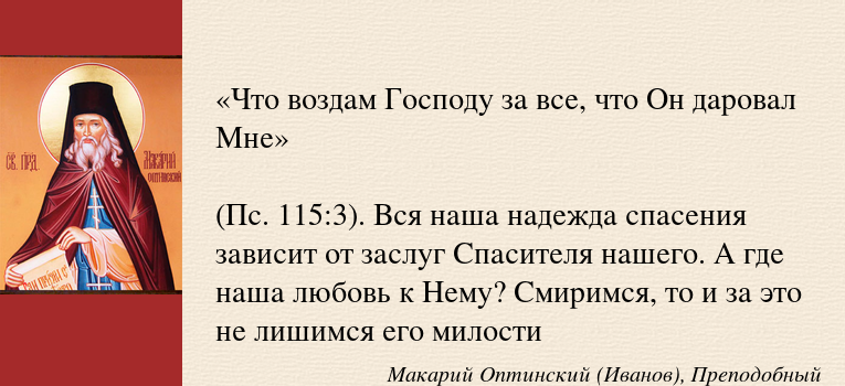 В чем смысл жизни человека?