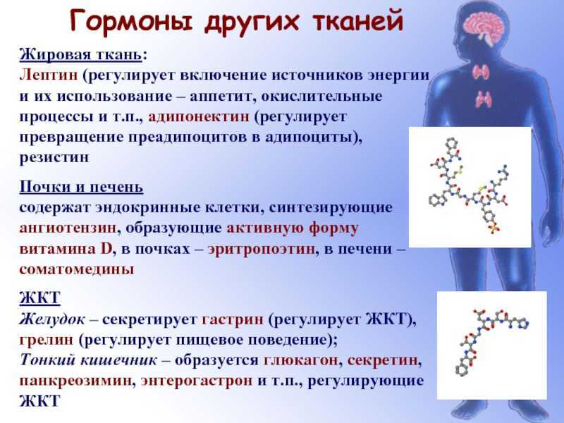 Как повысить гормон лептин — методы снижения резистентности с помощью диет и препаратов
