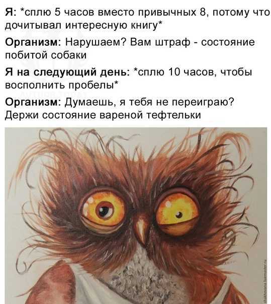 Пять преимуществ сов над жаворонками