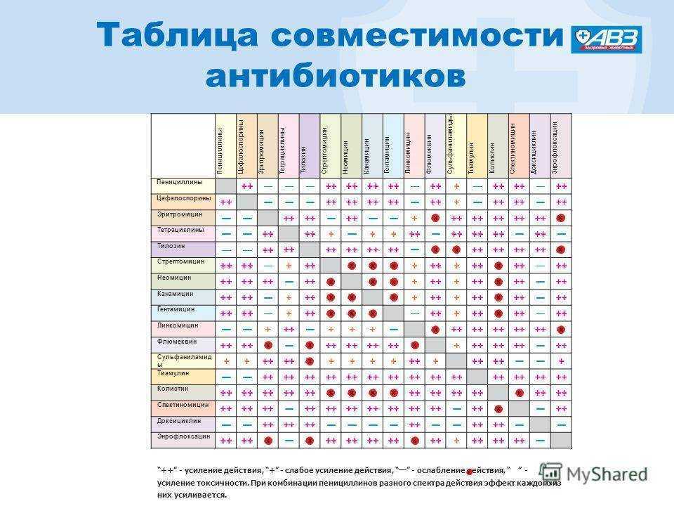 Что полезнее пить утром – чай или кофе (мнение экспертов)
