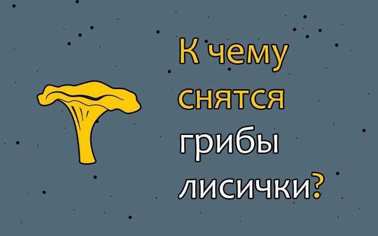 Что означает, если приснилось много грибов — 30 трактовок