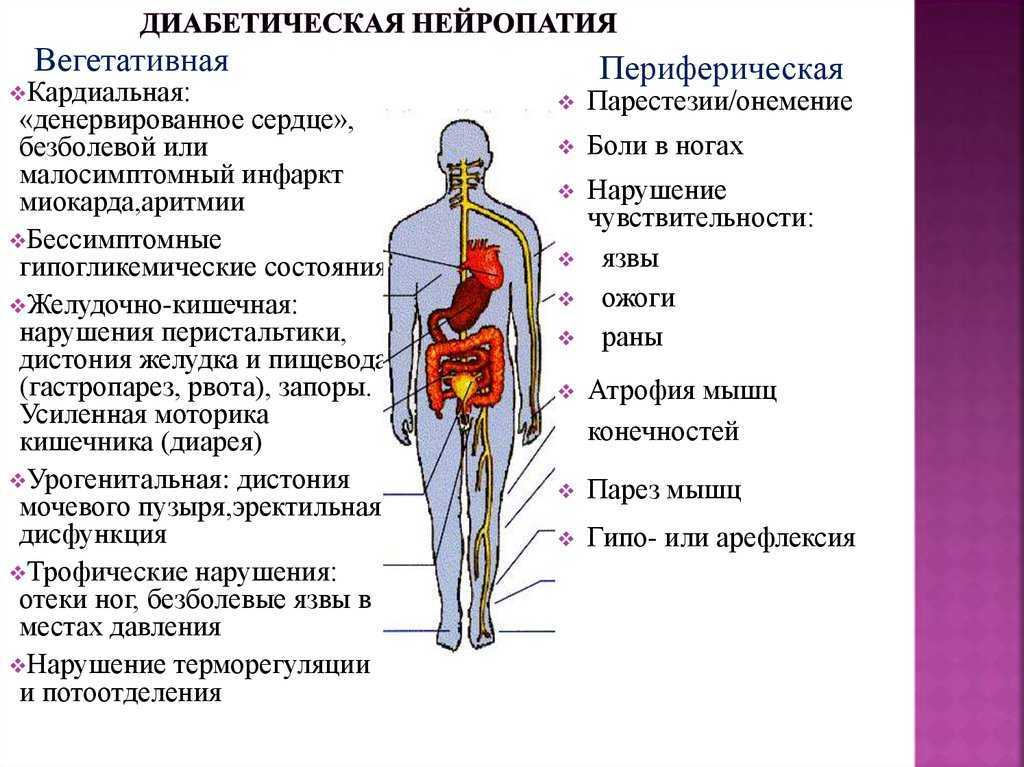 Что лечит врач-эндокринолог и когда стоит к нему обратиться? - виво клиника