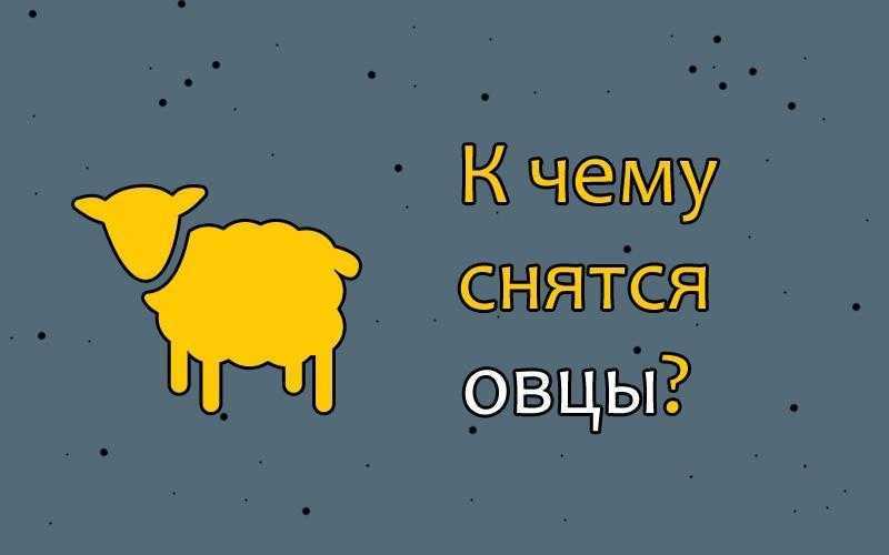 К чему снится овца. видеть во сне овца - сонник дома солнца