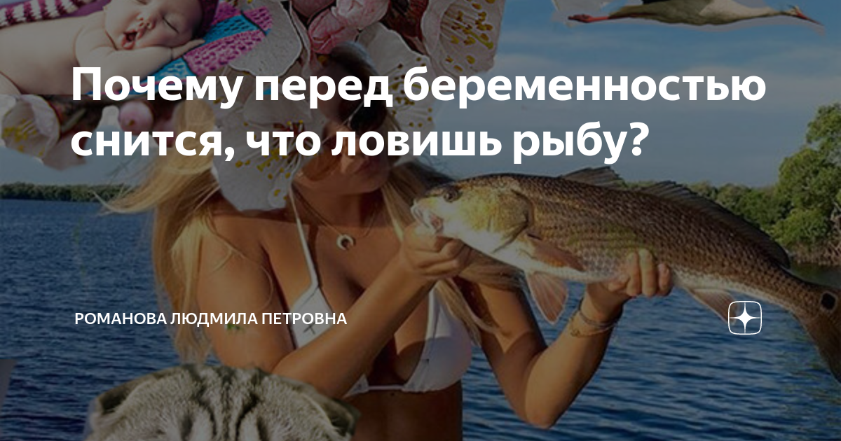 К чему снится покупать рыбу: трактовка по сонникам