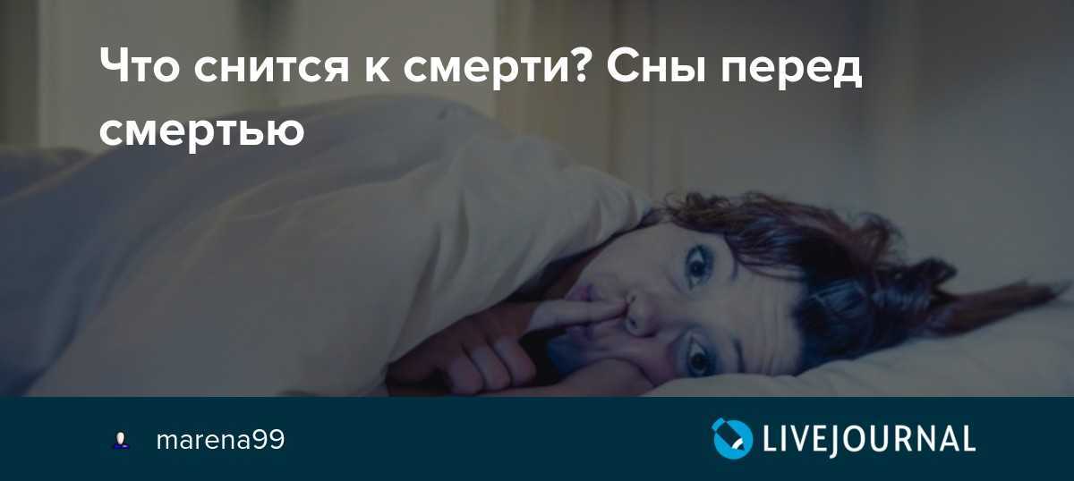 Сонник: снится свинья и свиная голова без крови - к чему это видеть во сне?
