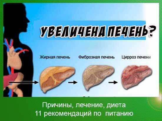 Одышка: причины, симптомы, диагностика и лечение | университетская клиника