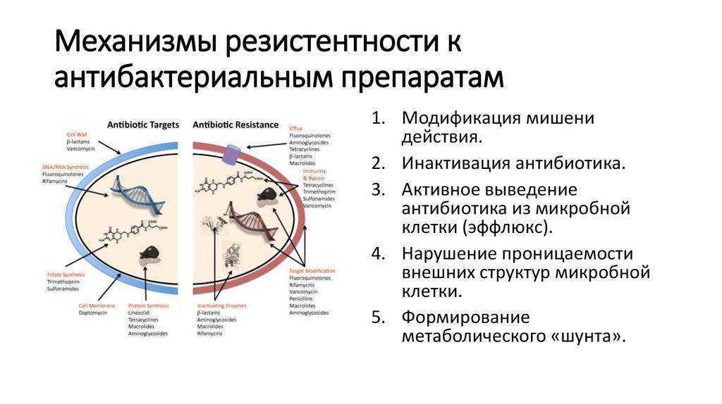 Кофе и препараты: обзор взаимодействий