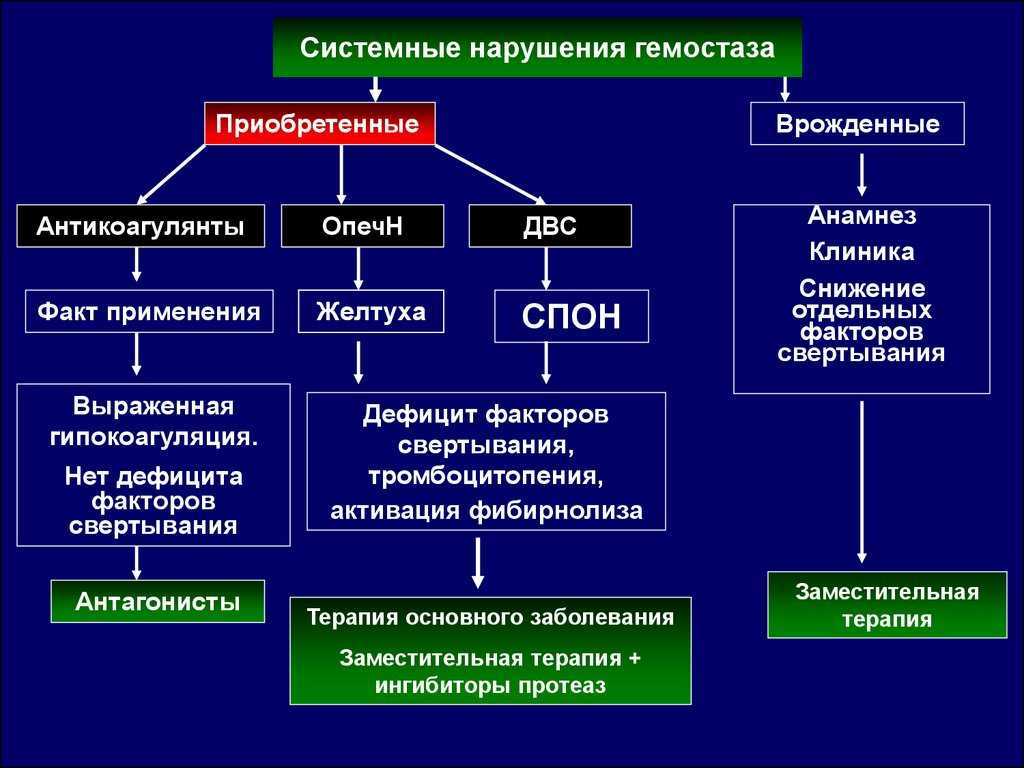 Все про остеопороз