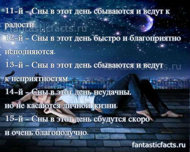 Как трактовать сон о мышах — 43 значения