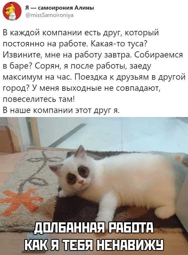 Чувство самоиронии у человека признак высокого интеллекта, как научиться, пример