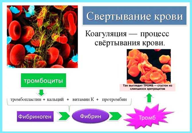 Краткая классификация болезней суставов: ликбез по симптомам - нолтрекс.