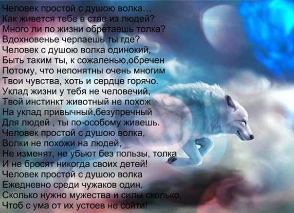 К чему снятся волки: что означает сон с черной, белой, серой волчицей, волчонком в лесу для мужчины, женщины по соннику