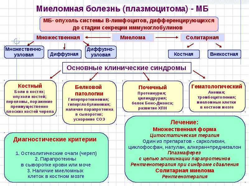 Миеломная болезнь (плазмоцитома) – причины, симптомы, диагностика, лечение и прогноз :: polismed.com