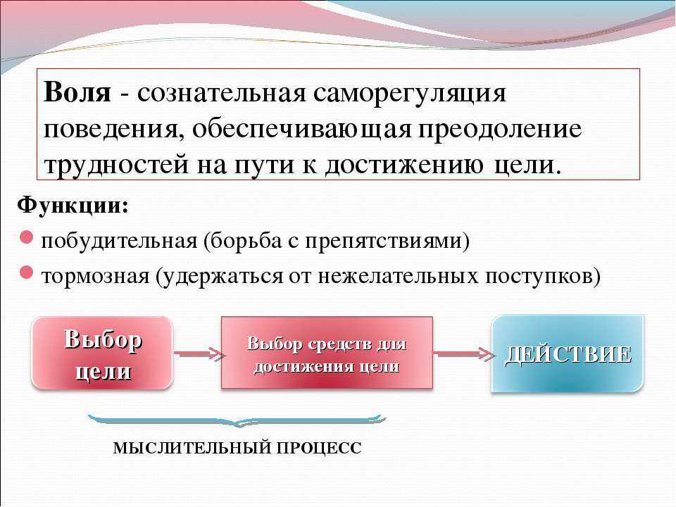4. воля