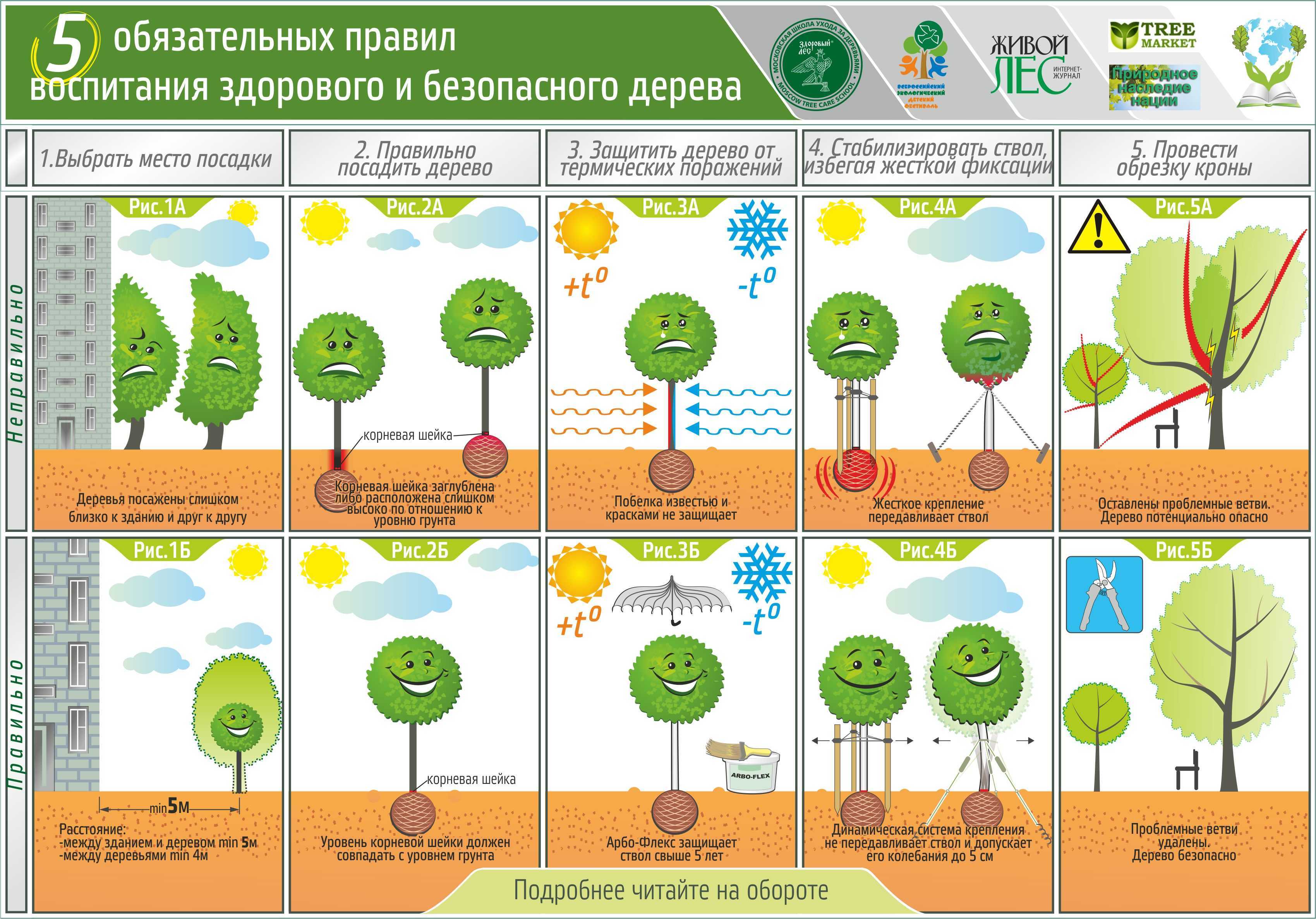 К чему снится собираться?