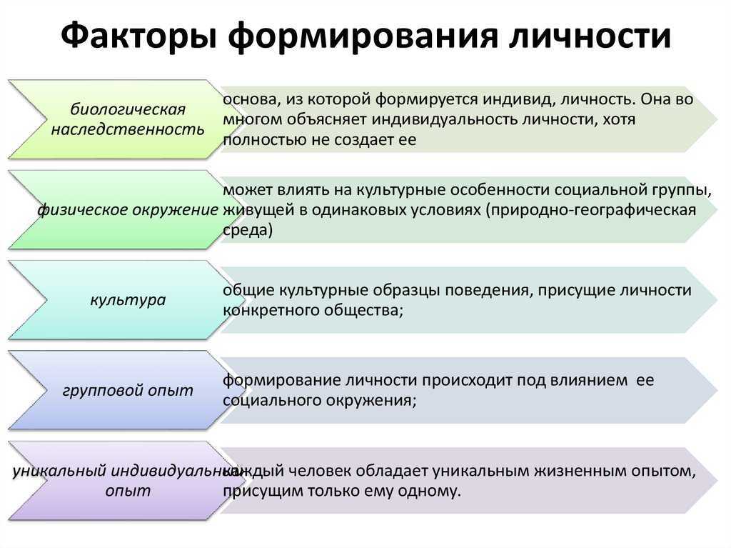 Развитие личности в процессе жизни: этапы формирования и становления