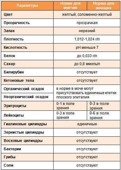 Об аденоме простаты подробно - симптомы, современное лечение