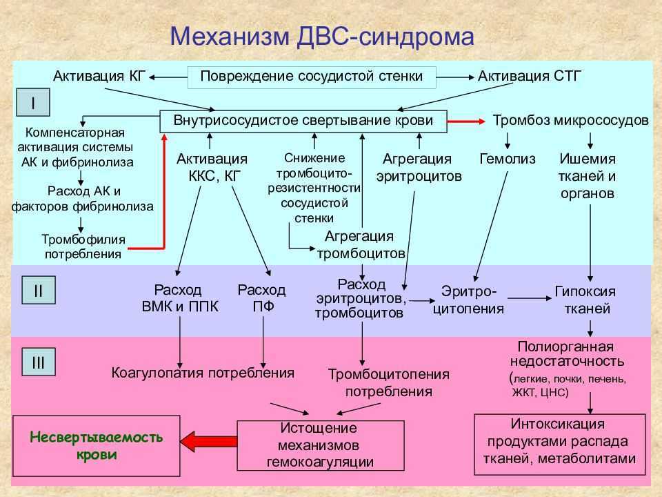 Коллагеноз -  заболевания соединительной ткани. симптомы коллагеноза. виды патологий соединительной ткани.