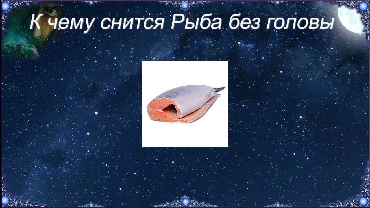 Рыба во сне — что значит сновидение