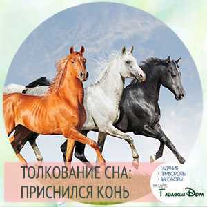 К чему снится лошадь женщине
