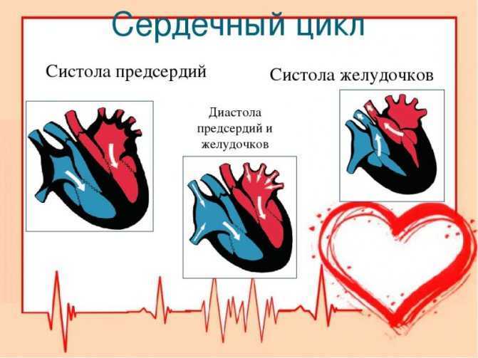 Как протестировать работу сердца в домашних условиях: шесть методов самодиагностики