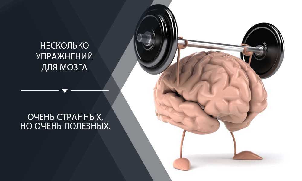 Нейробика: 10 упражнений для развития мозга