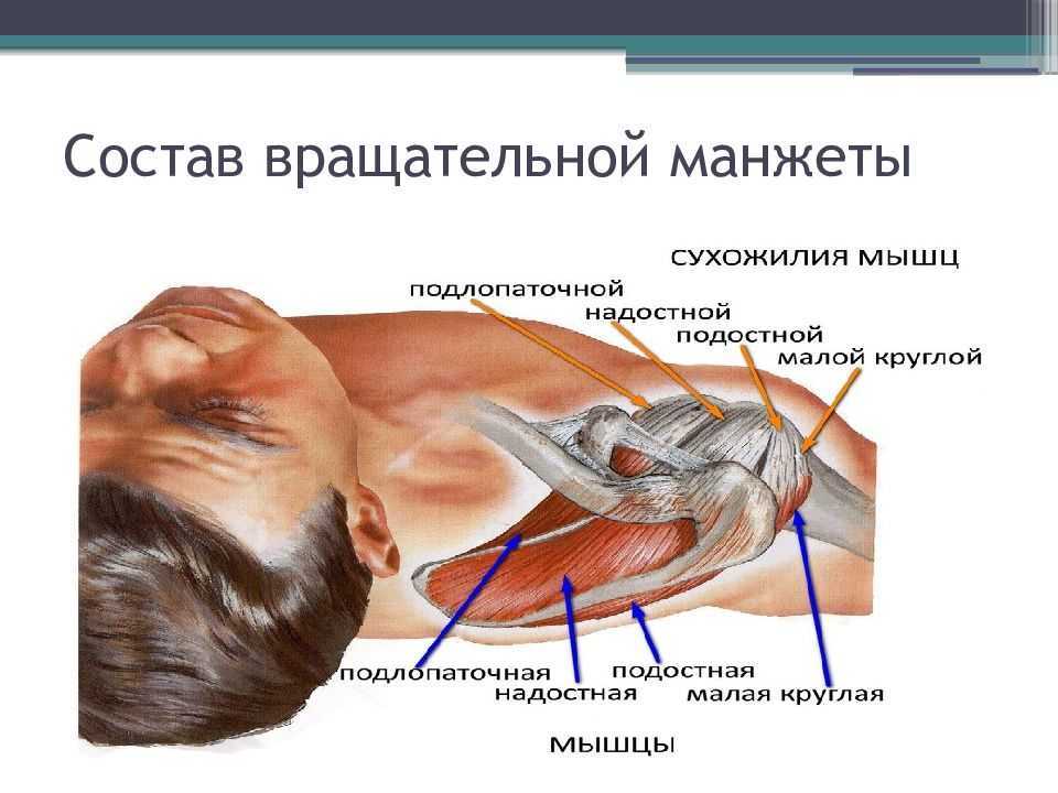 Перелом костей, симптомы и диагностика перелома. лечение перелома костей.
