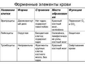 Кровь человека. состав и функции | анатомия | биология