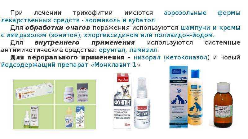 Дерматомикозы