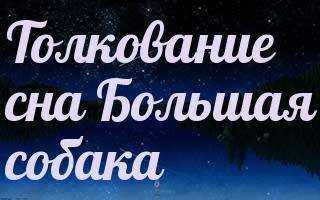 К чему снится собака женщине: толкование по соннику