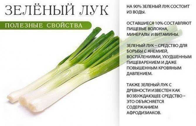 К чему снится лук во сне
