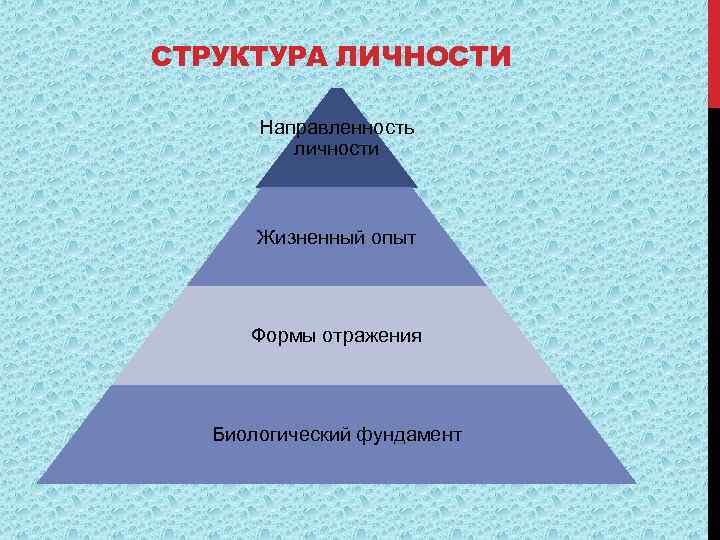 Направленность личности в психологии и её формы и виды