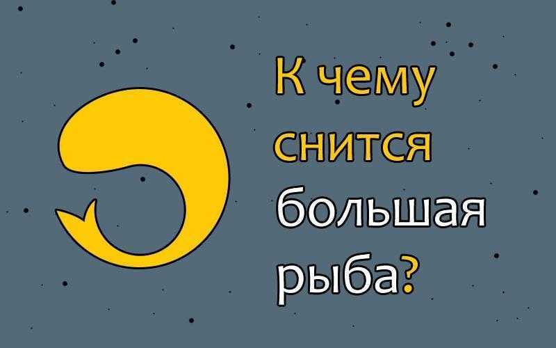 К чему снится ловить рыбу во сне — толкование для женщины