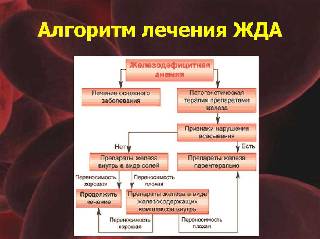В12-дефицитная анемия | диагностика и лечение в израиле