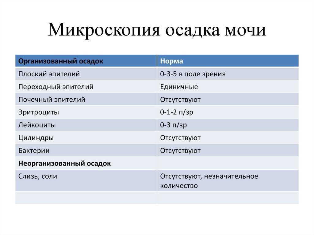 Как собрать и сдать трехстаканную пробу мочи