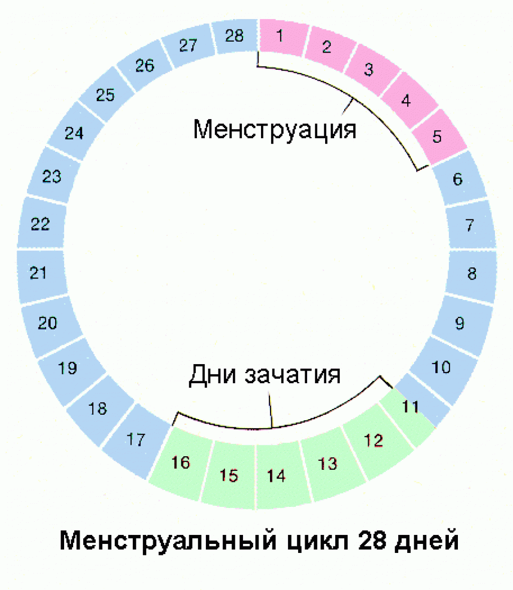 Какие дни для зачатия наиболее благоприятные