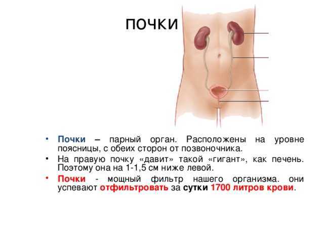 Почечная колика