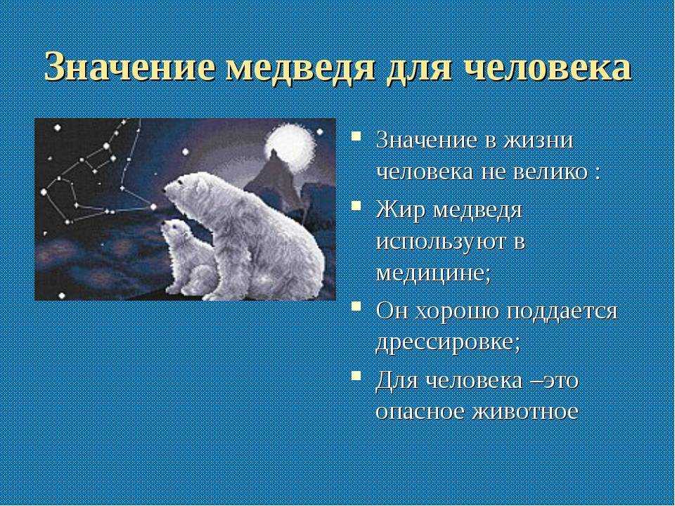 Медведь во сне: к чему снится женщине, мужчине