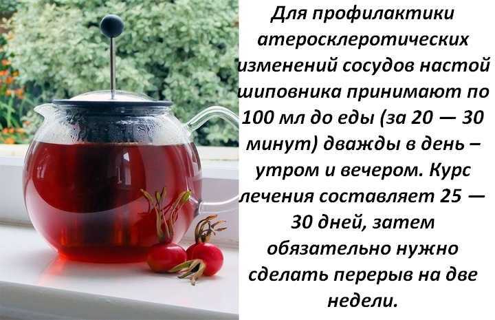 Как заваривать шиповник сушеный правильно?
